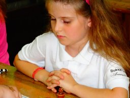 Tavaszi sakk sikerek